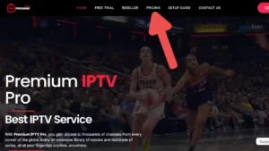 premium iptv pro multiple connections